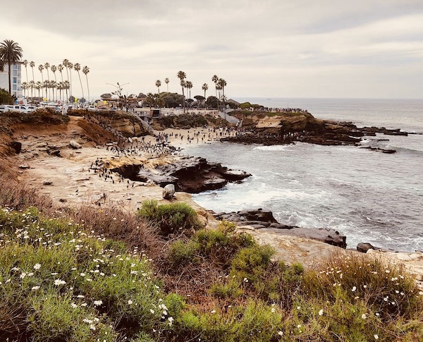La Jolla