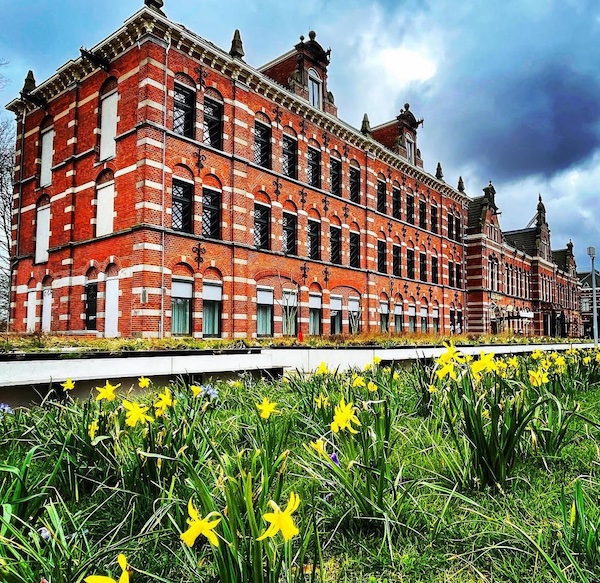 Westerpark Amsterdam