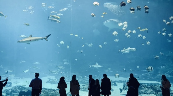 Atlanta Acquarium