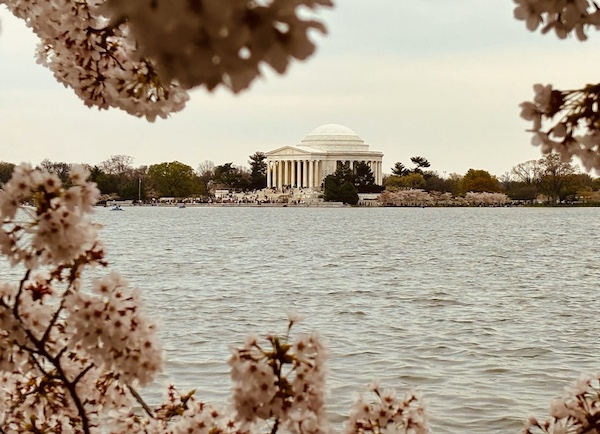 Tidal Basin Washington DC