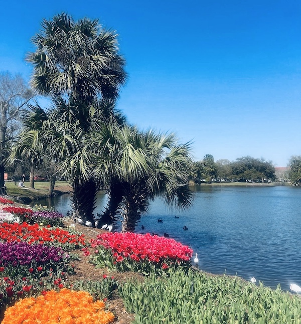 New Orleans City Park
