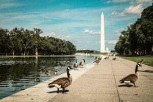 Washington otelleri